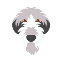 Sheepdog icon
